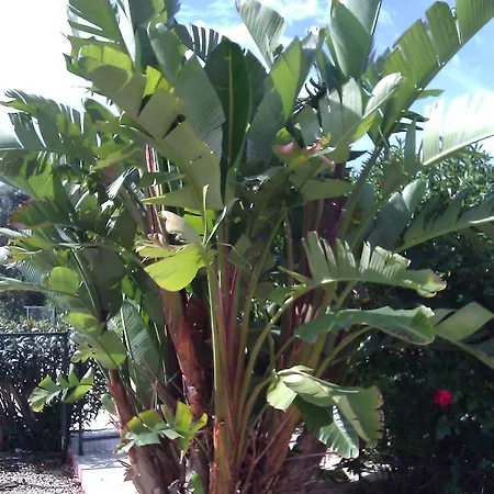 Quinta Casalinho Сasa de vacaciones *