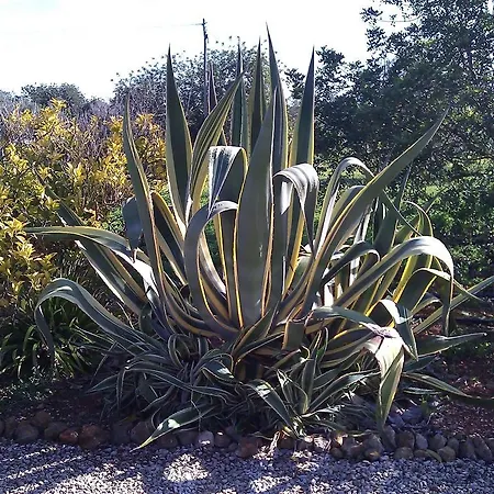 Сasa de vacaciones Quinta Casalinho *