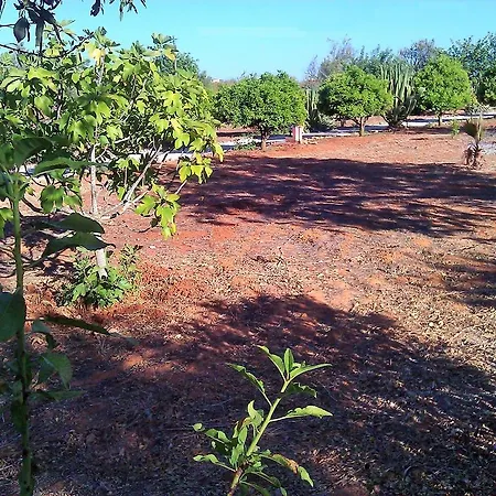Quinta Casalinho Ferienhaus *