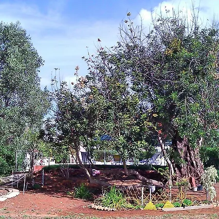 Quinta Casalinho Дом отдыха Албуфейра