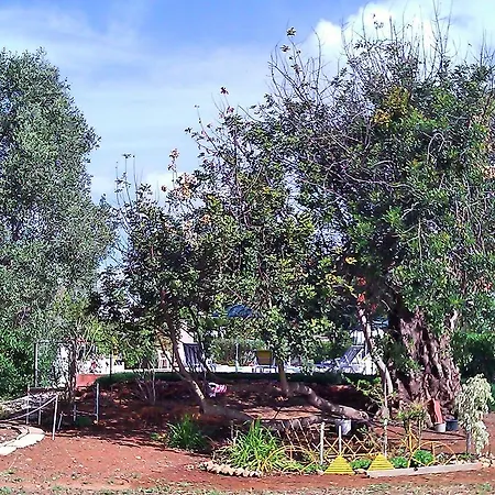 Quinta Casalinho Holiday home Albufeira
