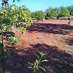 Quinta Casalinho בית נופש *